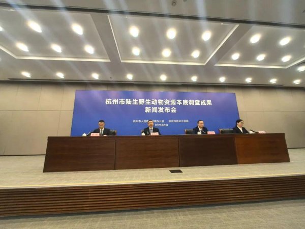 实盘配资一般不超过多少 重大发现！就在杭州！
